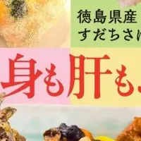 春の新メニュー