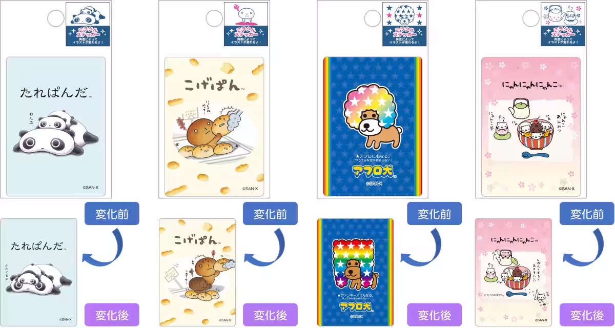 画像7