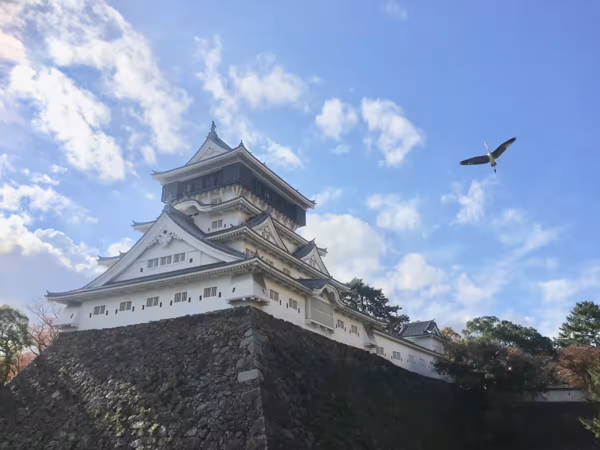 画像10