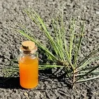 新しいバイオマス添加剤