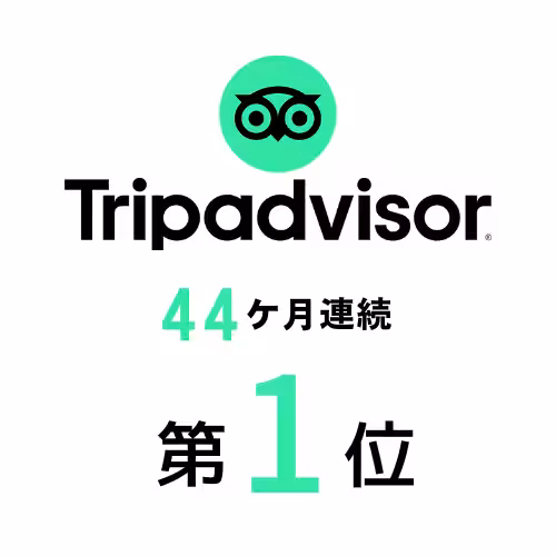 画像18