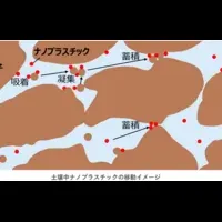 ナノプラスチック研究