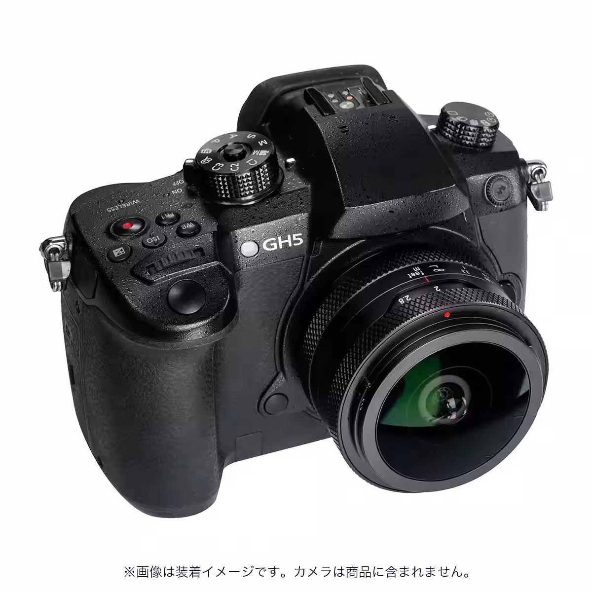 画像15