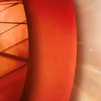 レミーマルタンXO新作