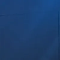 皮膚NTDsとWHO会議