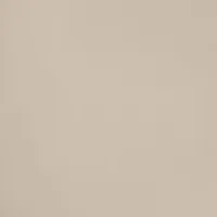 リリー ディオール紹介