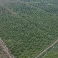 生物多様性危機