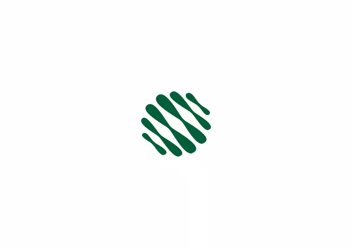 画像14