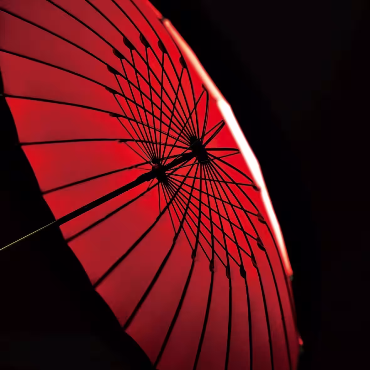 画像16