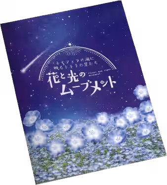 画像16