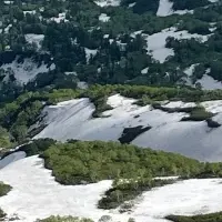 ネイチャーポジティブ連携