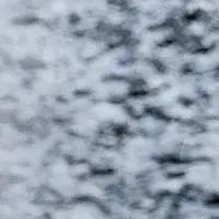 撮影革命の一脚！