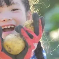 オーガニック給食助成
