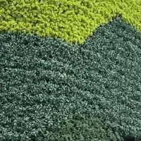 安全な造花「Greem」