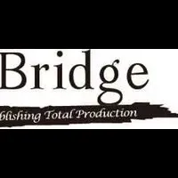 ブリッジの急成長