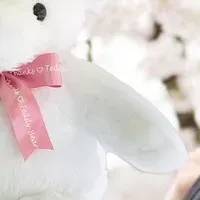 感動の体重ベア