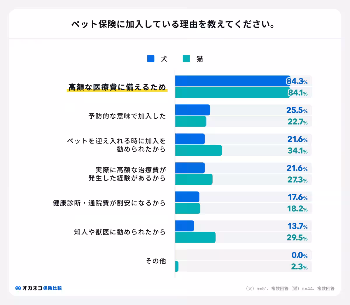 画像12