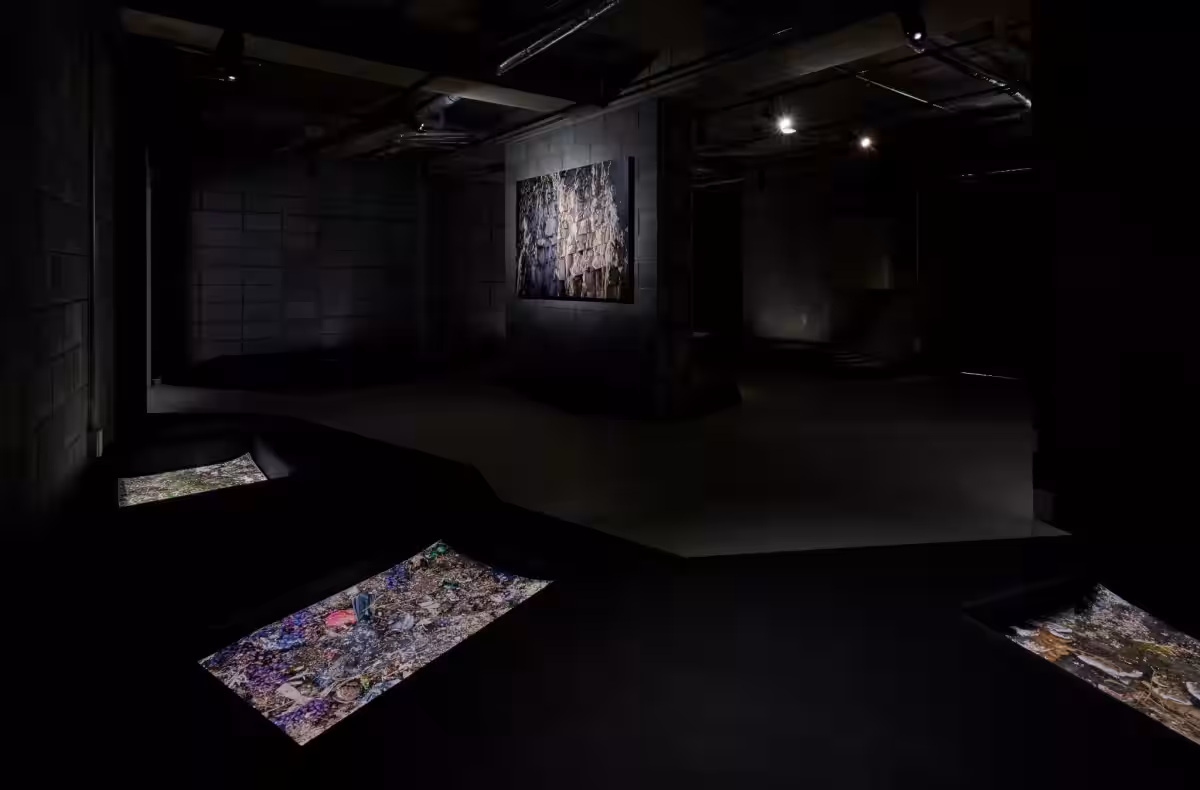 画像11