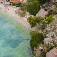 ビヨンド グリーンの未来