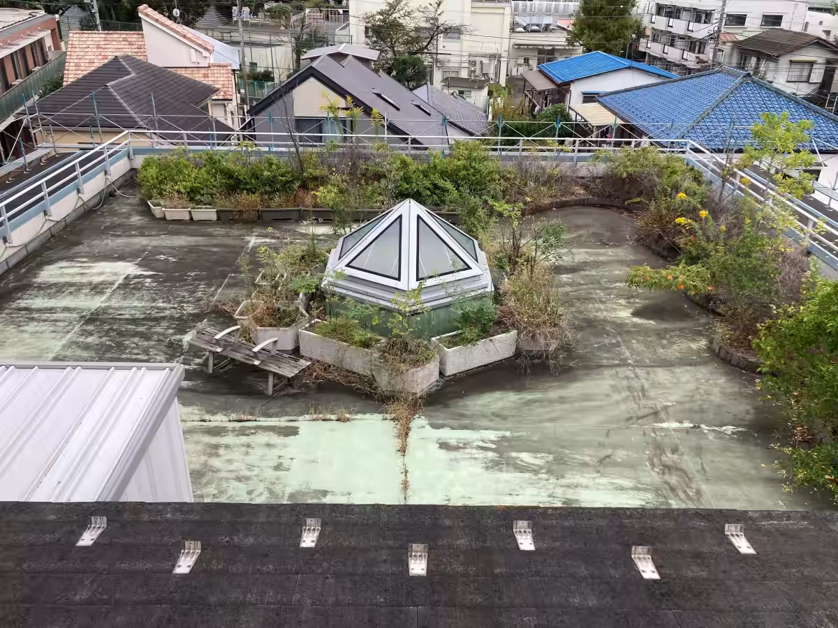 画像8