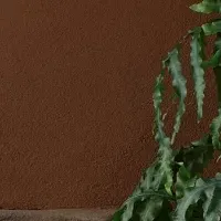 新作「Girard Flower Table」