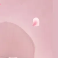 母の日に最適！