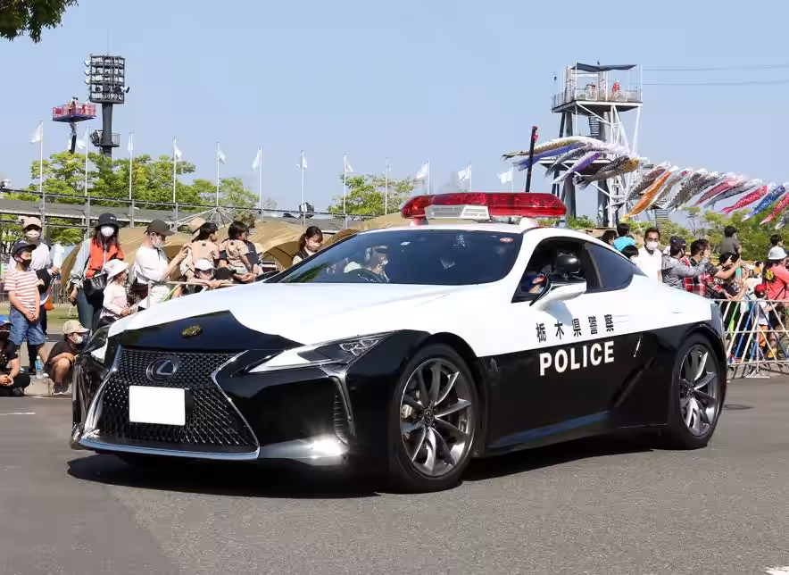 画像7