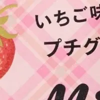 紗栄子新商品情報