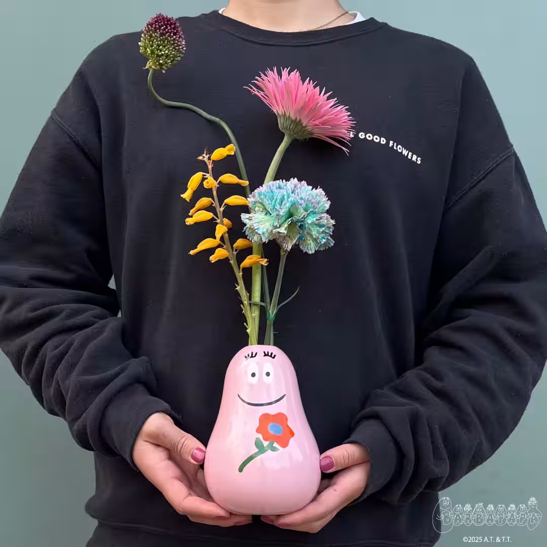 画像14