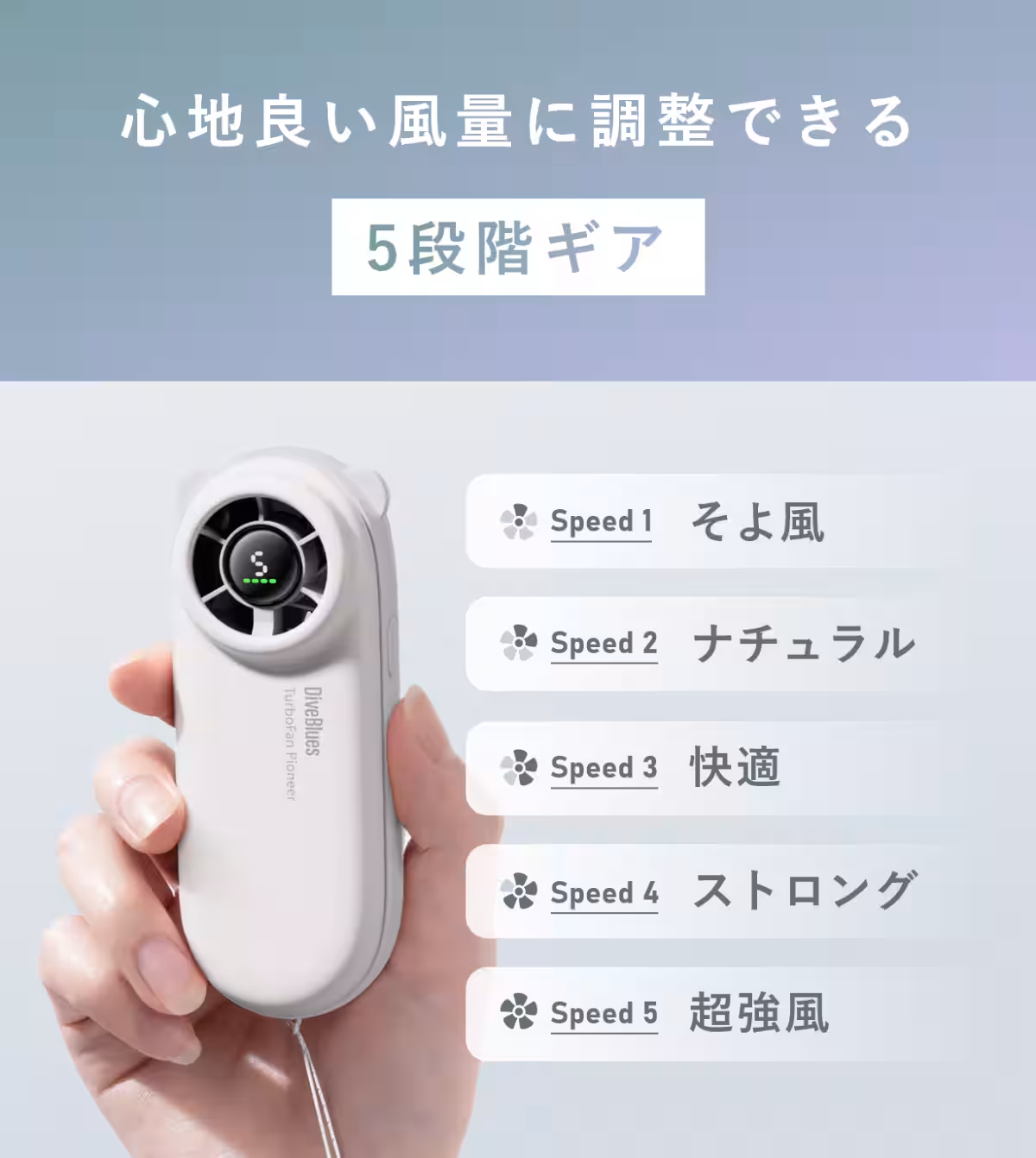 画像24