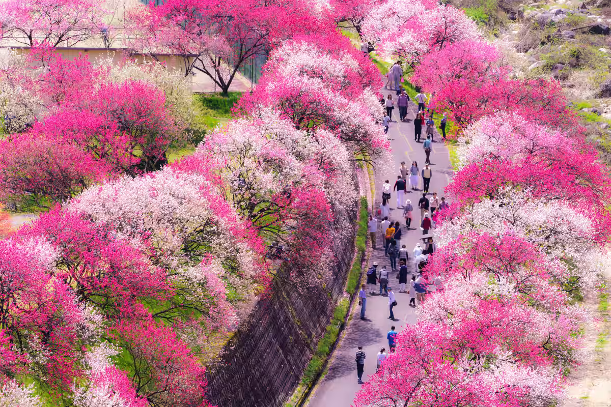 画像6