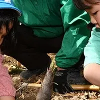高槻市のタケノコ掘り