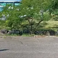 ソーラーサイクルポート