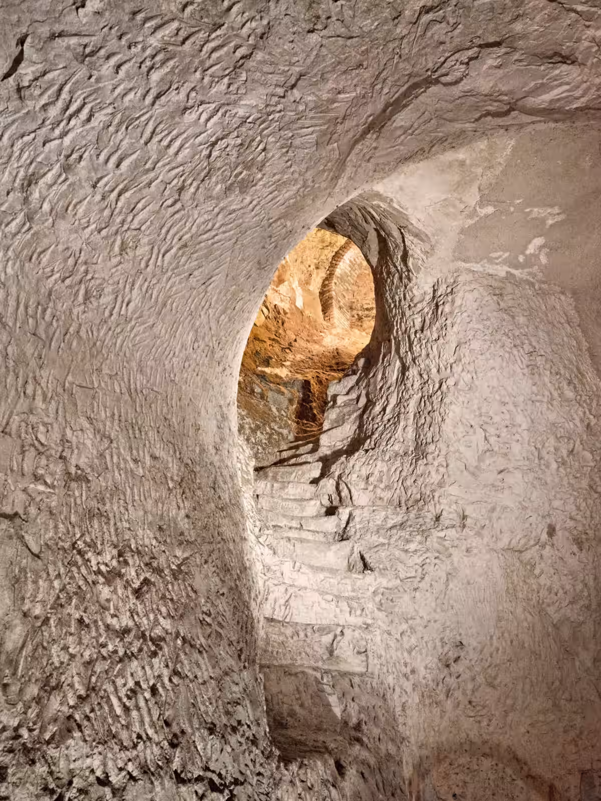 画像12