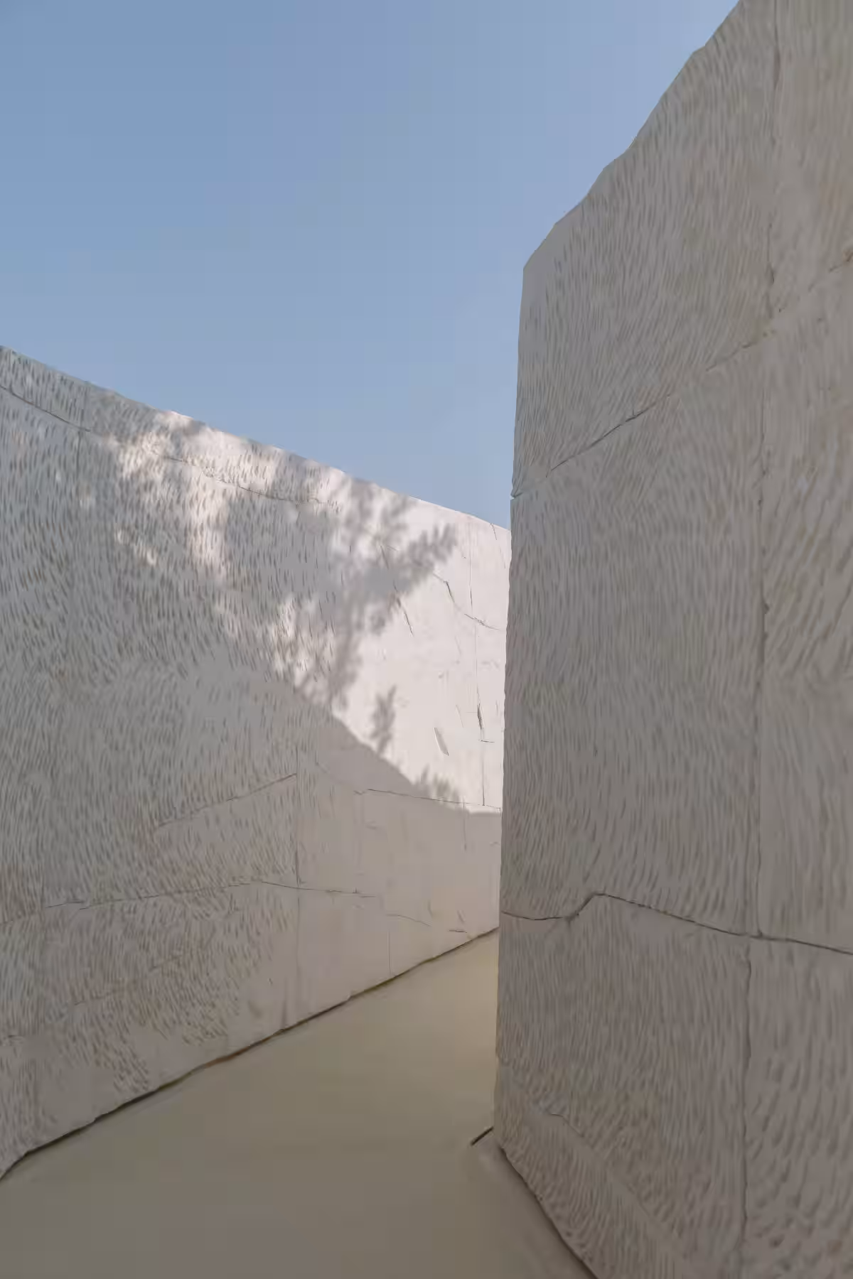 画像15