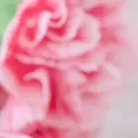 母の日の本音調査