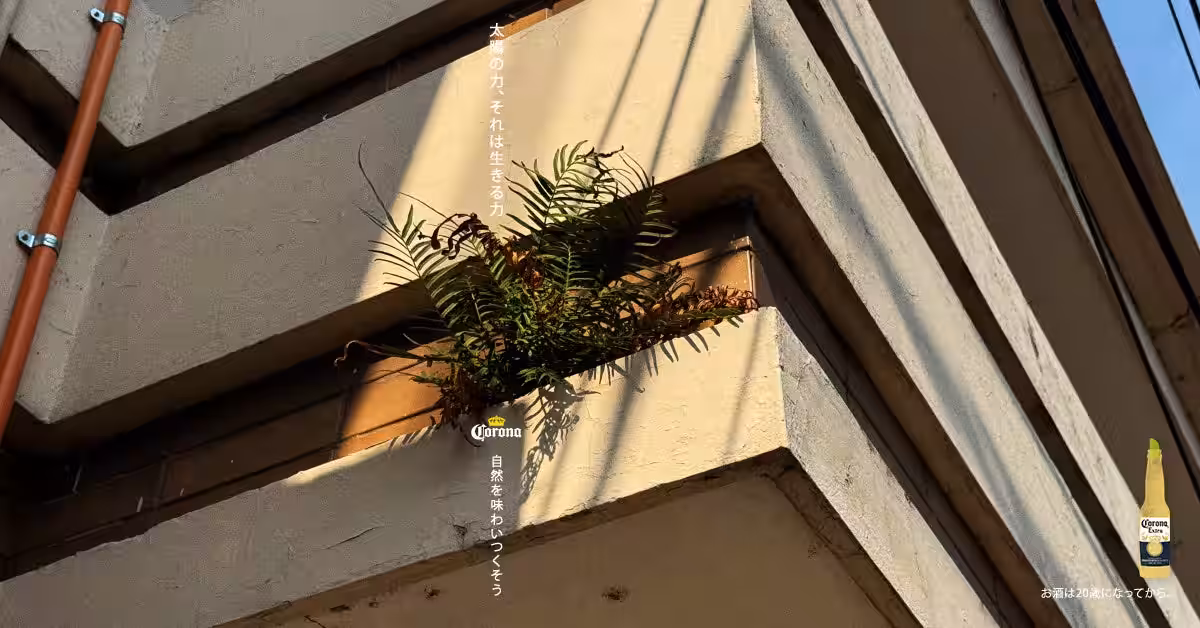 画像14
