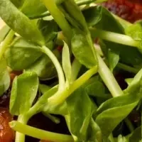 新ブランドの展開