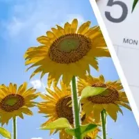 GWと夏休みの旅行事情