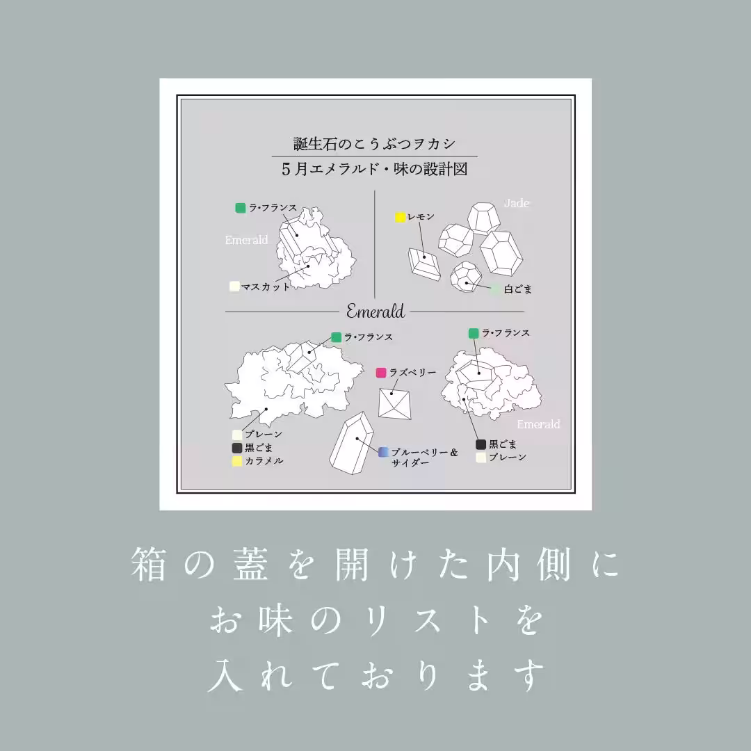 画像8
