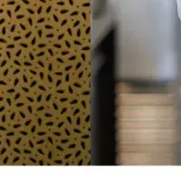 特別な4 Hands Dinner