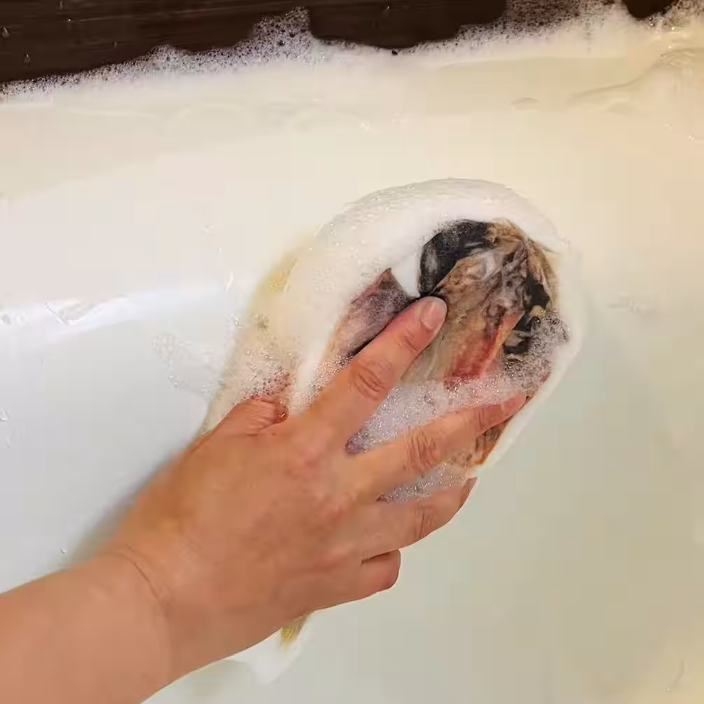 画像4