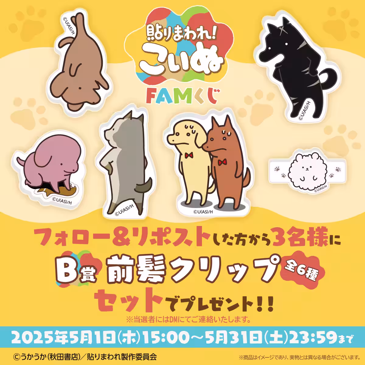 画像9