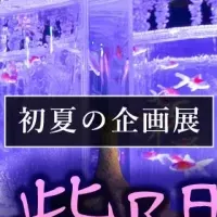 紫のアート空間