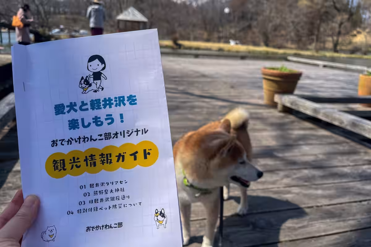 画像13