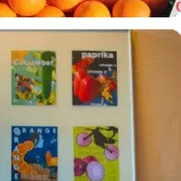 オランダの「和」と果物