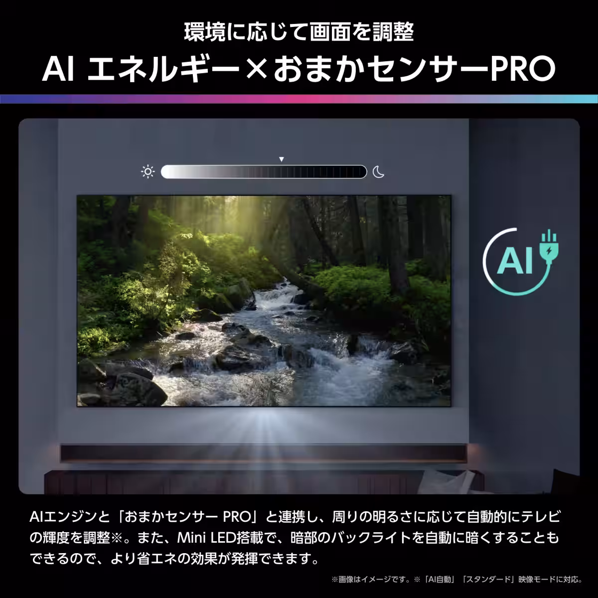 画像14
