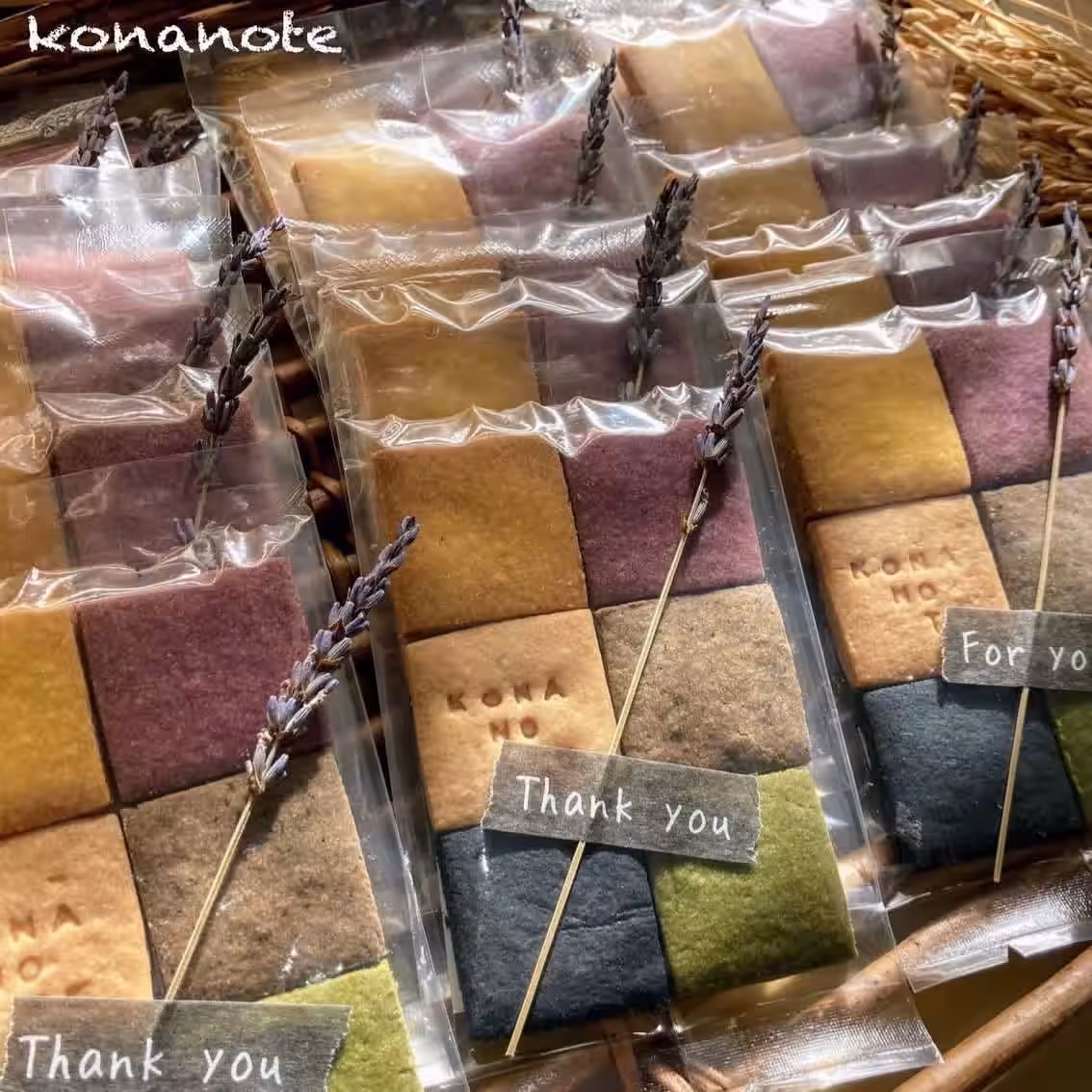 画像16