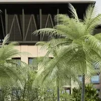 ザ・ローラス誕生