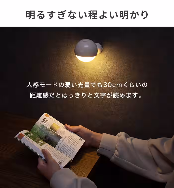 画像11